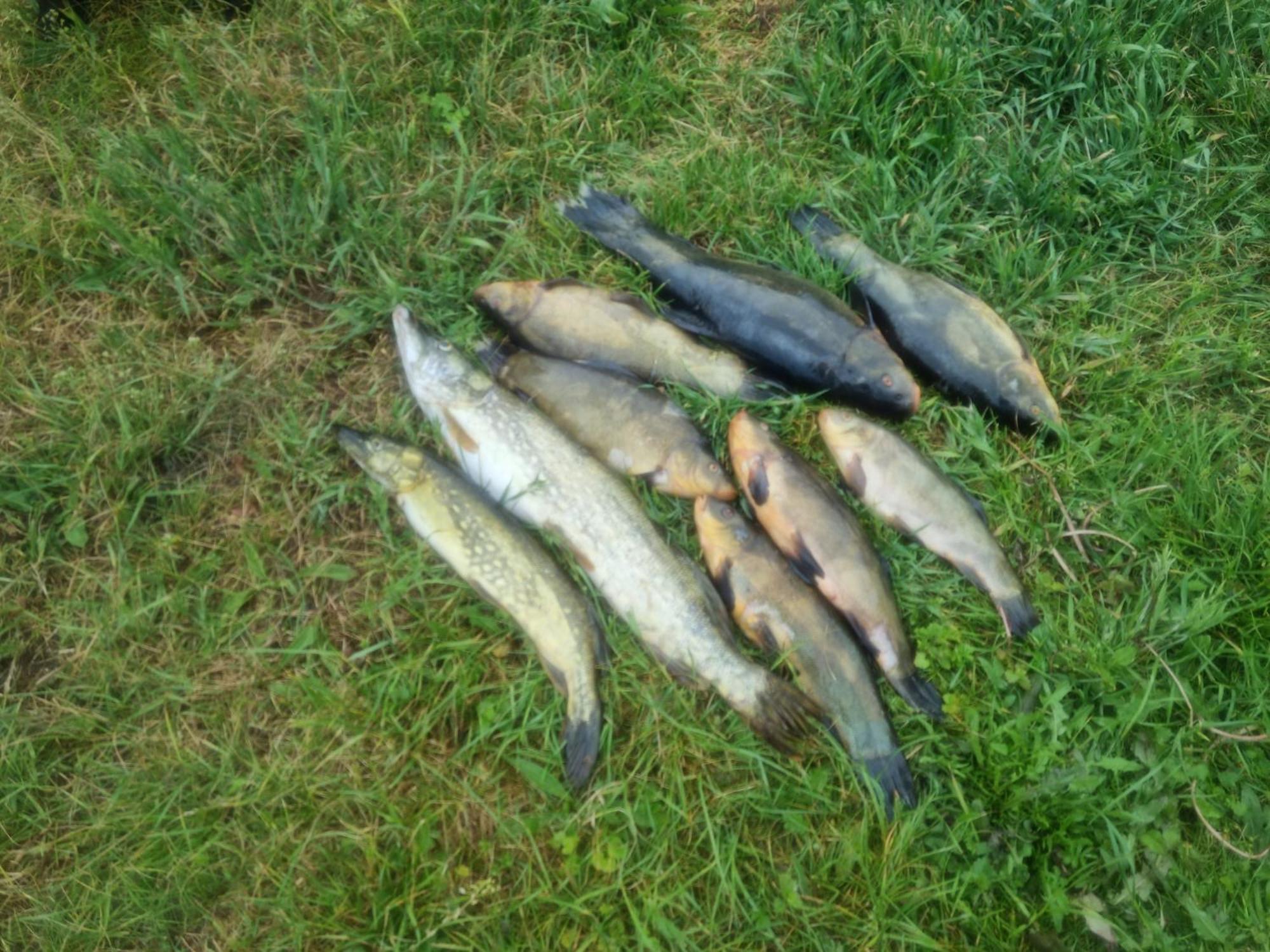 ミアストコ Eko-Fishヴィラ エクステリア 写真