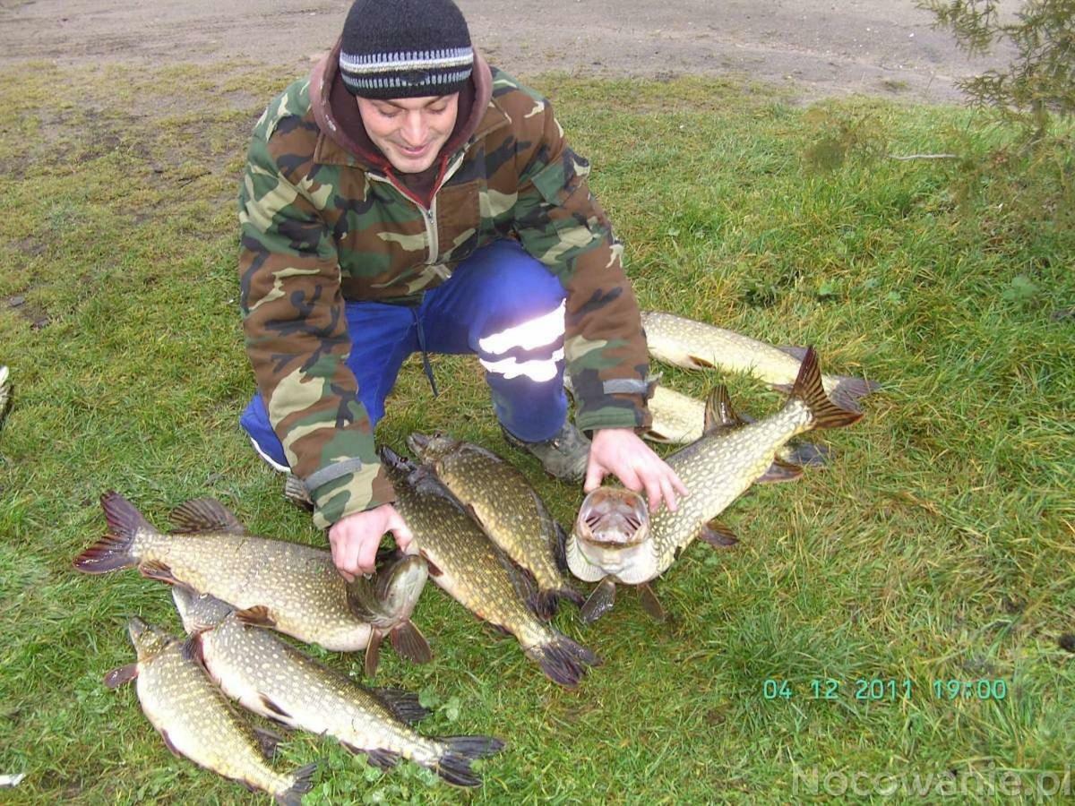 ミアストコ Eko-Fishヴィラ エクステリア 写真